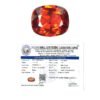 Natural 3.5 carat Ceylon Hessonite Gomed gemstone with lab certificate, showing transparent honey-cinnamon color for Rahu astrological ring