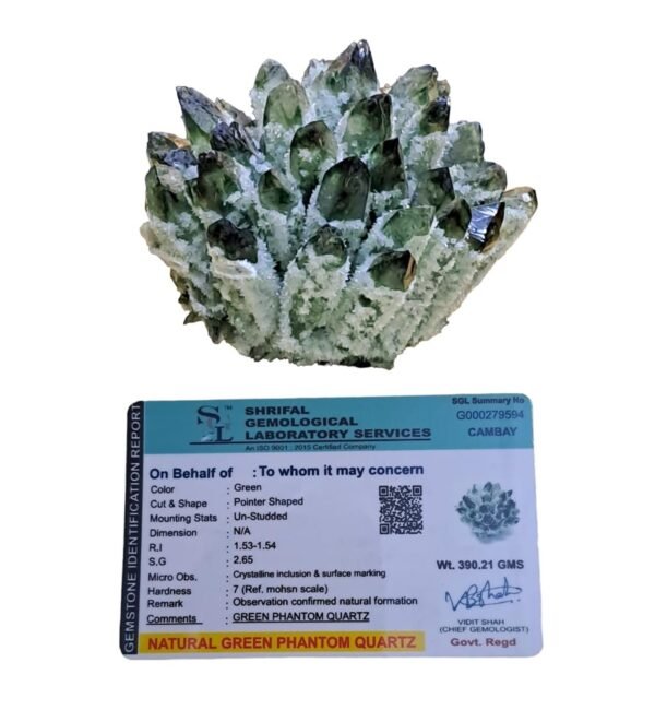 Green Jade Phantom, Phantom Quartz Cluster, Green Chlorite Inclusions, Wealth Quartz, Certified Green Quartz, Heart Chakra Stone, Rare Earth Formations, Green Ghost Quartz, Natural Quartz Geode, Abundance Crystal, Divinity Healing Crystals, Collector Grade Minerals, Growth and Resilience Stone, Earth Mined Phantom, Green Jade Healing, Healing Crystal Cluster, Rare Mineral Specimen, 2026 Crystal Trends