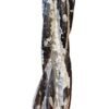 17 inch polished Orthoceras fossil tower weighing 4.5kg, showing white prehistoric cephalopod fossils in black matrix from Morocco