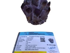 Authentic natural Ametrine phantom cluster geode with purple and gold color zoning and visible ghost phantom inclusions