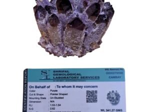 Certified Amethyst Phantom Cluster | Rare Natural Quartz Geode