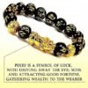 Certified AAA Grade Black Obsidian Bracelet with 10mm Round Beads and Gold-Tone Pixiu by Divinity Healing Crystals