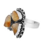 Divinity Healing Certified Original Raw Citrine Triple Money Stone Adjustable Ring for Financial Abundance Wealth Good Luck and Prosperity Natural Healing Crystals Abundance Stones 25 Divinity Healing Certified Original Raw Citrine Triple Money Stone Adjustable Ring for Financial Abundance Wealth Good Luck and Prosperity Natural Healing Crystals Abundance Stones 25
