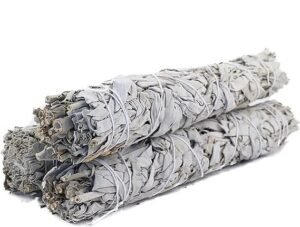 California White Sage for Smudging (Cleanse Your Space and Aura