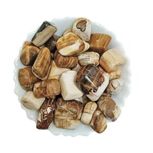 Natural AAA Grade Petrified Wood Tumble Pebbles Stones for Reiki Healing Home Decoration and Vastu Correction Love Relationship and Financial Abundance, Wealth, Will Power and Prosperity (Petrified Wood)