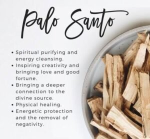 Palo Santo Incense Sticks from Ecuador | 2 to 20 Sticks Packs Available | Holy Wood, for Healing, Meditating, and Whole-Body Stress Relief & Support | Wild Harvested, 100% Natural