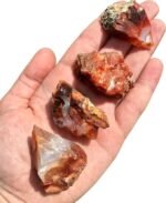 Divinity Healing Natural Red Carnelian Raw Rough Stones. Weight : 250 Grams Approx. | Pack of 1 to 4 Beautiful Natural Raw Stones depending on Raw Crystal Stone Size Natural Healing Crystals Abundance Stones 16 Divinity Healing Natural Red Carnelian Raw Rough Stones. Weight : 250 Grams Approx. | Pack of 1 to 4 Beautiful Natural Raw Stones depending on Raw Crystal Stone Size Natural Healing Crystals Abundance Stones 16