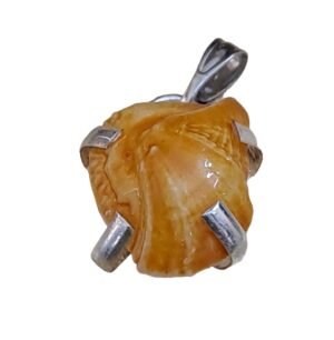 Divinity Natural Lab Certified Machh Mani Pendant Sea stone Pendant Reduces and Removes Rahu Impact. (Meen Mukta, Fish Stone, Fish Pearl)
