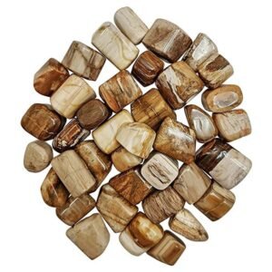 Natural Petrified Wood Tumble Pebbles Stones for Reiki Healing Financial Abundance, Wealth, Will Power and Prosperity (Petrified)
