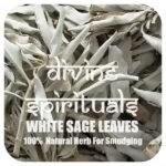 Divinity Healing White Sage Leaves | Natural Pure California White Sage Dry Smudge Leaves – for Smudging Ancient Rituals Home Cleansing and Purification, Incense Meditation Holy Palo Santo Abundance Stones 25 Divinity Healing White Sage Leaves | Natural Pure California White Sage Dry Smudge Leaves – for Smudging Ancient Rituals Home Cleansing and Purification, Incense Meditation Holy Palo Santo Abundance Stones 25
