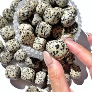 Divine Dalmation Jasper Crystal Original Tumble for protection and shielding to encouraging openness of expression (Value Pack of 2)