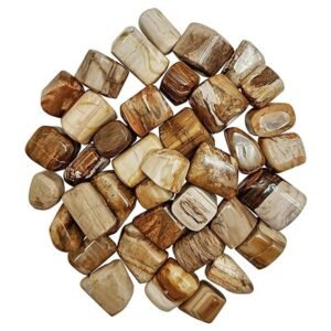 Divine Spirituals Natural Petrified Wood Tumble Pebbles Stones for Reiki Healing Financial Abundance, Wealth, Will Power and Prosperity