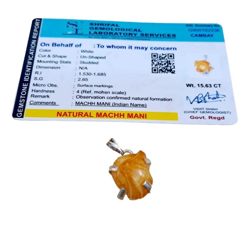 Divinity Healing Natural Lab Certified Machh Mani Pendant Sea stone Pendant Reduces and Removes Rahu Impact. (Meen Mukta, Fish Stone, Fish Pearl) Crystal Jewelry Abundance Stones 22