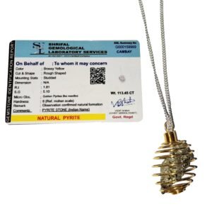 Certified Pyrite Stone Original Spring Cage Unisex Locket Pendant for Will Power Manifestation and Financial Abundance