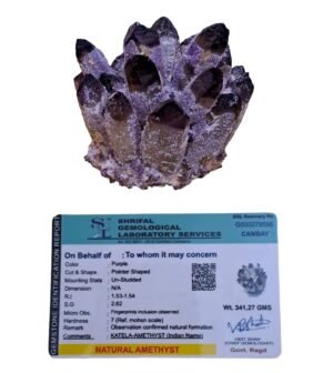 The Certified Natural Amethyst Pure Quartz Family Phantom Cluster Geodes – Rare Earth Natural Formations (Amethyst Family Cluster)