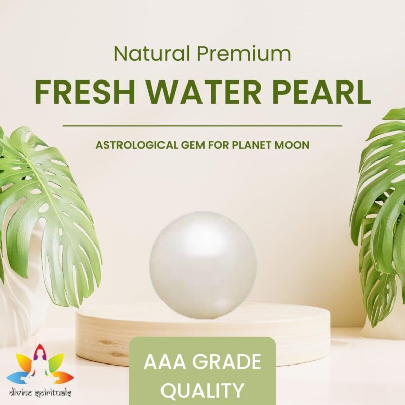 Divinity Healing NaturaL Premium Fresh Water Pearl (Original Moti) Lab-Certified AAA Grade Round Cabachon Gems For Moon, Love, Stress Reduction & Ring Jewelry For Men & Women approx. 10 Carat Fresh Water Pearl Abundance Stones 13