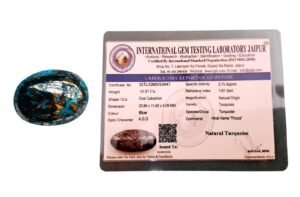 Natural Cats Eye Original Certified Gemstone Translucent Yellowish Chatoyant Chrysoberyl Exclusive Cymophane Lehsunia Vaidurya Cat's Eye 3.09 Carats