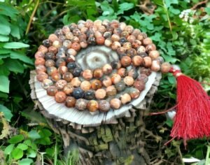 Divine Spirituals Certified 108 Plus 1 Beads Mala Collection for Men and Women Natural Pure 8 mm Beads - for Yoga Reiki Meditation Feng Shui Natural Fire Agate Mala
