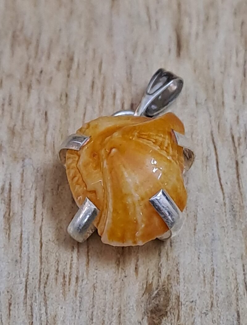 Divinity Healing Natural Lab Certified Machh Mani Pendant Sea stone Pendant Reduces and Removes Rahu Impact. (Meen Mukta, Fish Stone, Fish Pearl) Crystal Jewelry Abundance Stones 19