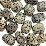 Divinity Healing Dalmation Jasper Crystal Original Tumble for protection and shielding to encouraging openness of expression (Value Pack of 2) Chakra Tumbled Stones Abundance Stones 13 Divinity Healing Dalmation Jasper Crystal Original Tumble for protection and shielding to encouraging openness of expression (Value Pack of 2) Chakra Tumbled Stones Abundance Stones 13