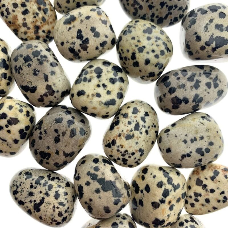 Divinity Healing Dalmation Jasper Crystal Original Tumble for protection and shielding to encouraging openness of expression (Value Pack of 2) Chakra Tumbled Stones Abundance Stones 10